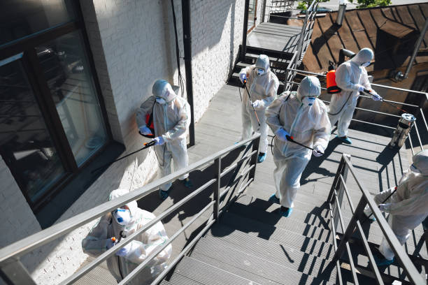 Best Water Damage & Mold Remediation  in Hartford City, IN