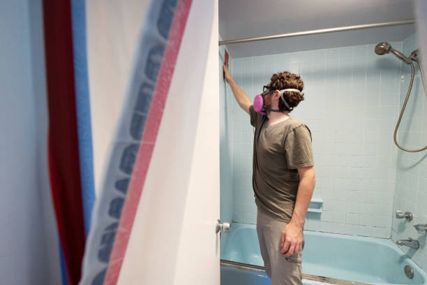 Best Mold Removal for HVAC Installations  in Hartford City, IN