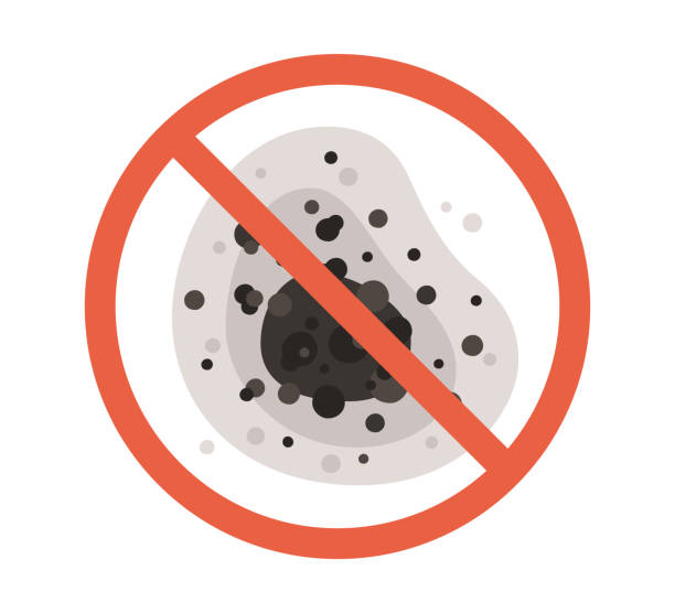 Best Airborne Mold Testing  in Hartford City, IN